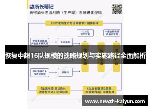 恢复中超16队规模的战略规划与实施路径全面解析