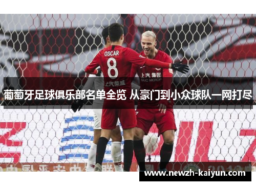 葡萄牙足球俱乐部名单全览 从豪门到小众球队一网打尽